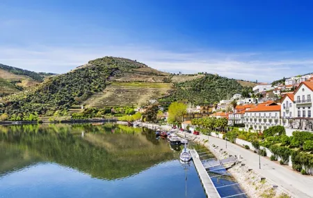 Private Wine & Food Tour in Douro