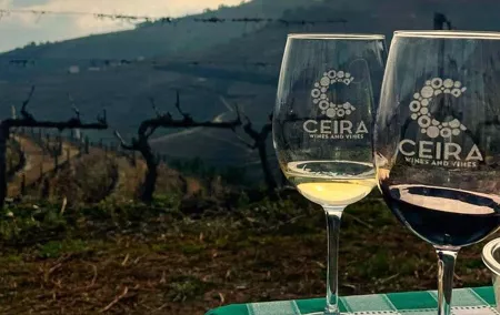 Full Day Tour in Douro Valley with Wine Tasting