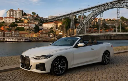 Porto Like Never Before: Private Tours with Local Touch