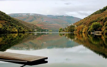 Tour privado do Porto ao Pinhão: caminhada e vinhos.