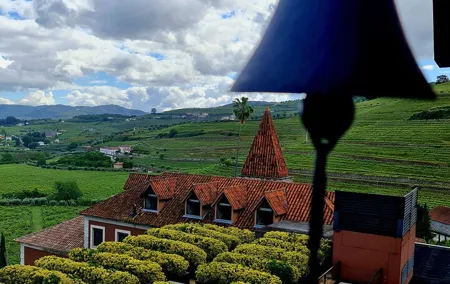 Private Wine Tasting Tour in Douro Valley