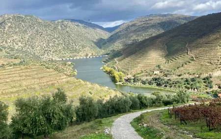 Douro Valley Private Tour and Wine Experience