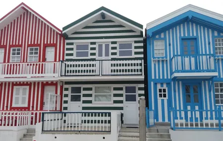 From Porto - Private Tour to Aveiro and Ilhavo Drop-off in Lisbon