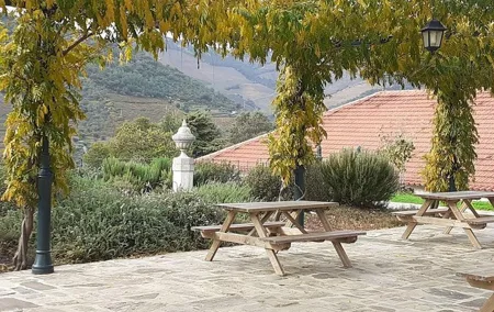 Douro Low COST with Wine Tasting