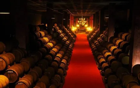 Bairrada Wine Tour
