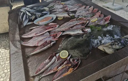 Private City Harbor Tour with Seafood Lunch and Coastal Views