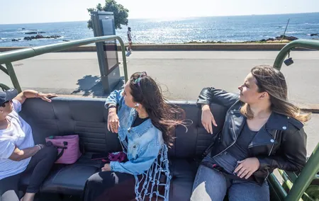 Foz and Beyond Exploring Porto Gaia and the Douro