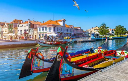 Private Half Day Aveiro Tour with Boat Ride
