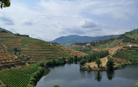 Douro Valley: Premium Private Tour (All Inclusive)