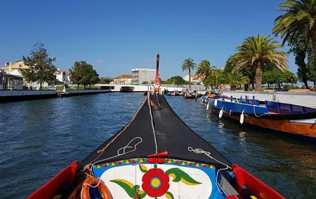 Aveiro & Costa Nova Private Full-day Tour