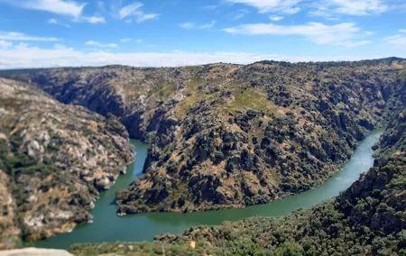 Douro Tour History and Wine