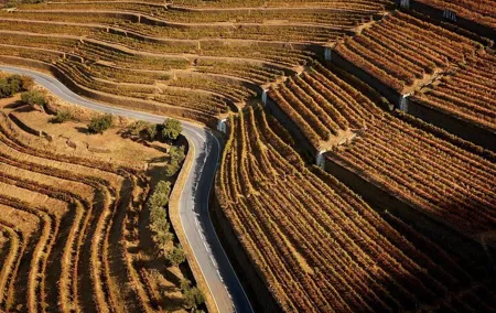 4×4 Douro Wine Tasting Private Tour