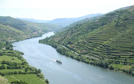 Douro Experience
