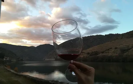 Full-Day Porto and Douro Valley Private Wine Tour with Lunch