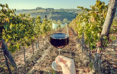 Private Lisbon Arrabida Wine Tour: Food & Wines, Mountain and Sea