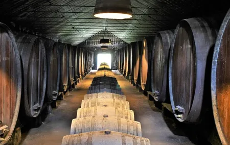 Private Wine Tasting in the Setúbal Wine Region, from Lisbon