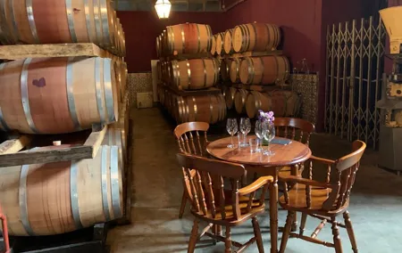 Setúbal Wine Tour with Visit and Tasting at 2 Wineries