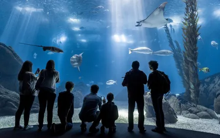 Lisbon Oceanario: Aquarium Entrance Ticket