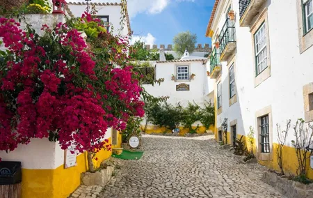Óbidos - Nazaré - Mafra (National Palace of Mafra)Private tour from Lisbon