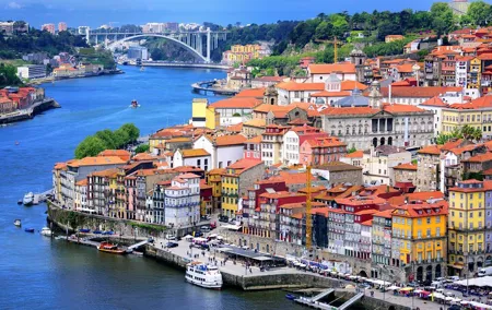 Porto Private Tour from Lisbon with Douro Cruise and Wine Tasting