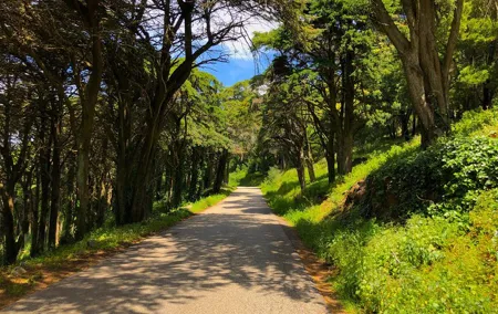 E-Bike Self-Guided Sintra - Cascais (Private Tour from Lisbon)
