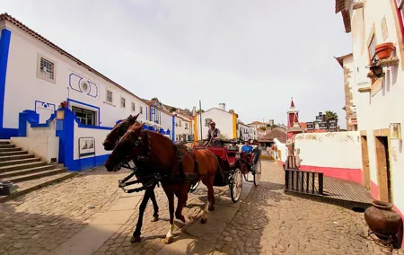 Obidos Medieval Village World Heritage Private Tour