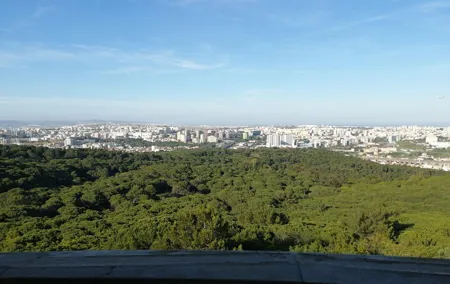 Private transfer - Lisbon