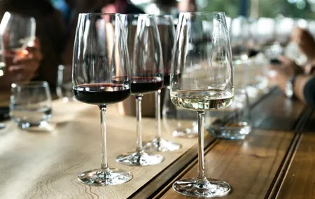 A Taste of Lisbon: Wine Tasting Experience