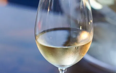 Wine Tasting with the best view in Lisbon