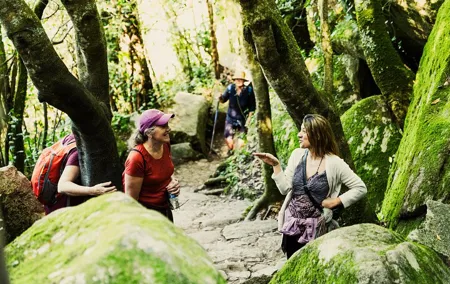 Hike in Sintra: Pena Palace, Moorish Castle, Quinta da Regaleira