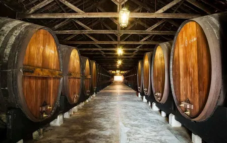Private Lisbon wine tasting tour in the Setubal region