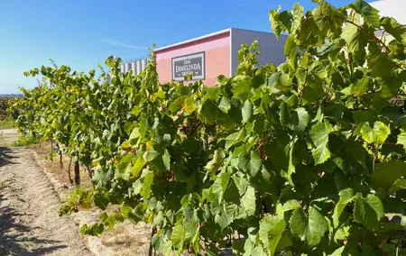 Lisbon Southern Region (Fernão Pó) Wine Tasting Private Tour