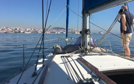 Lisbon Sailing Day Cruise with wine & snacks