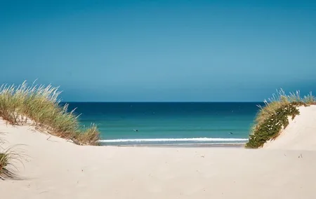 Surf Courses In Peniche and Baleal Portugal