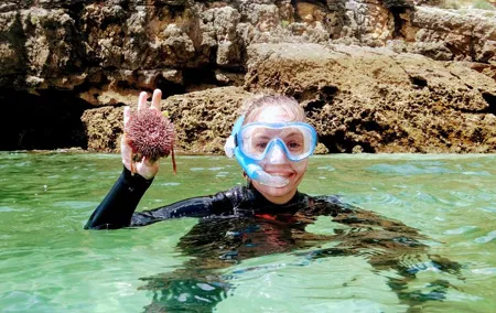 Arrábida Snorkeling Adventure with Transfer from Lisbon