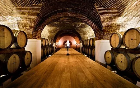 Private Alentejo Wine Tour & Évora Heritage from Lisbon