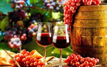 Douro Valley Private Wine Tour from Lisbon