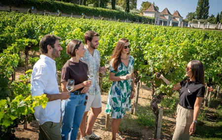 Winery Visit & Setubal Fish Market Tour with Tasting from Lisbon