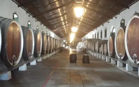 Sintra Full Day Private Wine Experience with Tastings from Lisbon