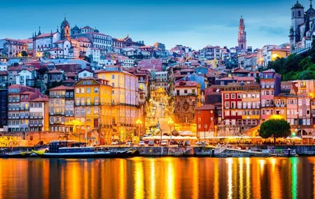 Birthplace of Portugal - Porto Private Tour from Lisbon