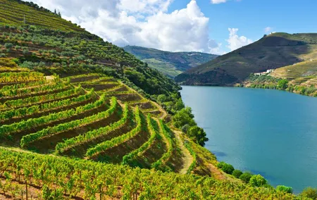 Lisbon to Douro Valley Region Private and Direct Transfer