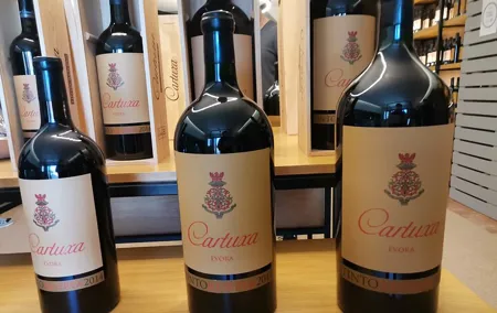 Private Tour to Evora with wine tasting at the Cartuxa Winery
