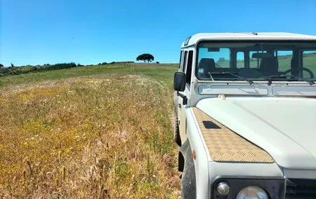 Winery, Tastings & 4WD Vineyards Ride, Half Day Trip from Lisbon