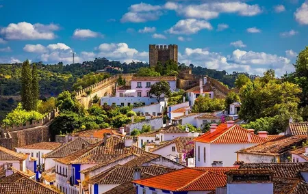 Transfer from Lisbon - Porto (Stopping in Óbidos, Nazaré and Aveiro)