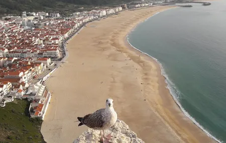 Fátima, Batalha, Nazaré and Óbidos day Tour