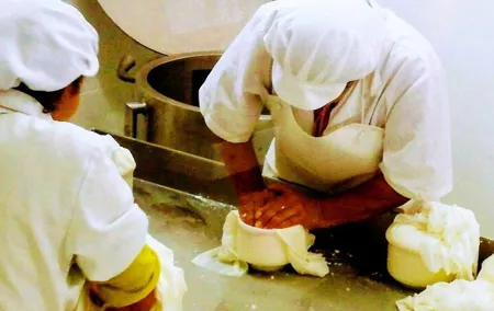 Lisbon to Portugal Highest mountain cheese factory & bread museum