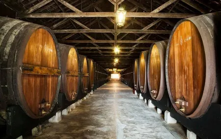 Nature, Wines and Ceramic Tiles: Private Tour