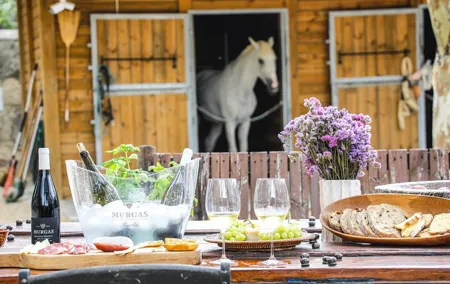 Wine tasting at Quinta das Murgas
