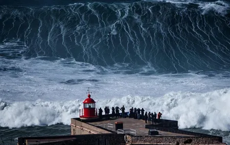 Private Transfer From / To Lisbon Airport x Nazaré