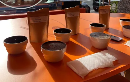 Roast Specialty Coffee with Guided Tasting